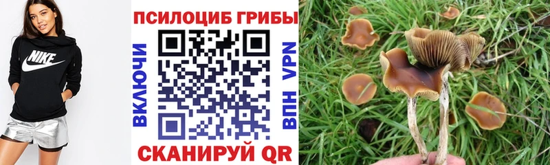 Псилоцибиновые грибы Cubensis Новый Оскол